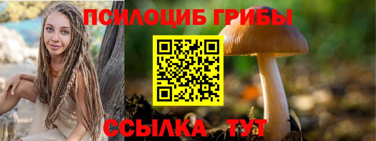 Галлюциногенные грибы мицелий  Вход с VPN  Дальнереченск 